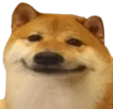 NIdoggo
