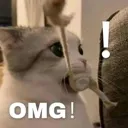 omg omg