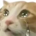 cry