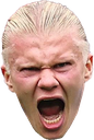 haaland2 Discord emoji
