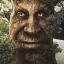 wisemysticaltree wisemysticaltree