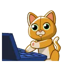 SoxTyping