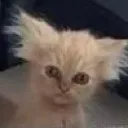 gremlin