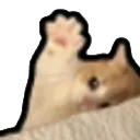 Kitty Wave Discord Emoji