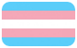 Transgender