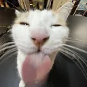 toosilly