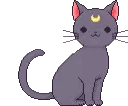 9116luna