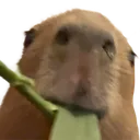 URR_Gort