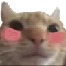 zzz_kesariblush zzz_kesariblush