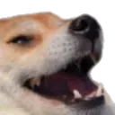 936888293184897064_