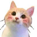 cat_smile