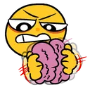 brain_brr