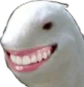 teeth2
