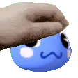 rosie_pet