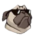 701173862624395344_