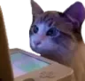 WatchingStream