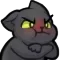 angycat angycat