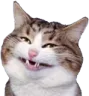 Fat_Laugh