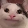 LFG_Beluga LFG_Beluga