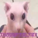 Thaumfoolery
