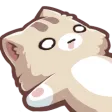 CatKnocked Discord Emoji