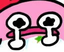 cri cri