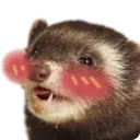 ferretuwu Discord Emoji