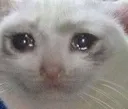 crycat