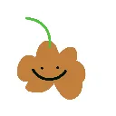 pumkin