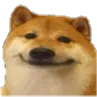 dogewhat_KC