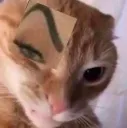 mirellaBrow mirellaBrow