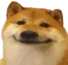 Dogsmile