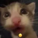 huh
