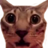 omg