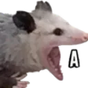 screm