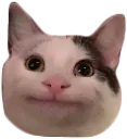 81815832_memecatpolitediscordfre Discord Emoji