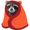 comfy_raccoon comfy_raccoon