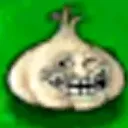 onion onion