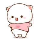 FnT_Chubby_R FnT_Chubby_R