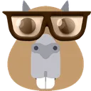Nerdybara