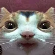tobsCate