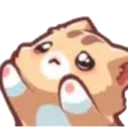 meow_beg Discord Emoji