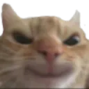 FP_catmenace