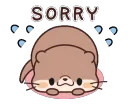 ottersorry