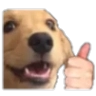 dogeThumb dogeThumb
