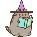 witch_pusheen_read_book