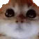 angy