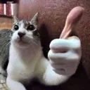 cool_bro