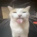 silly silly