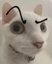 huh